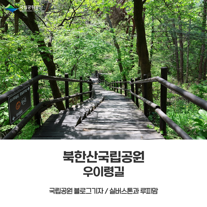 [북한산국립공원] 우이령길 - 가정의 달 5월, 가족과 함께 걷기 좋은 길