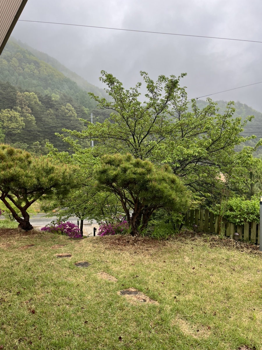 칠성펜션 사진 3