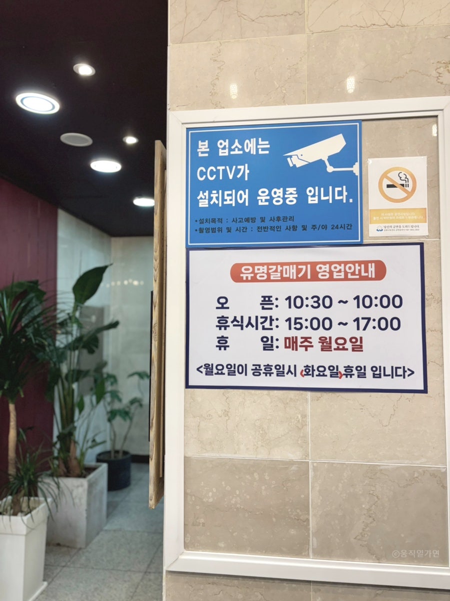 유명갈매기 사진 3