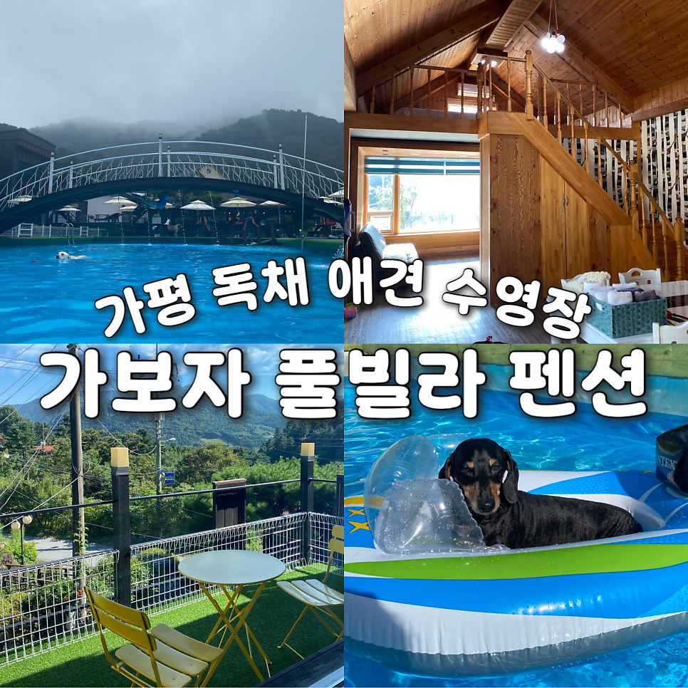가보자도그빌리지 사진 1