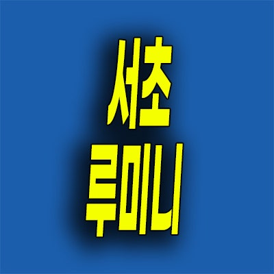  서초동 청년안심주택 단지내 상가 남부터미널 루미니 상업시설 분양가