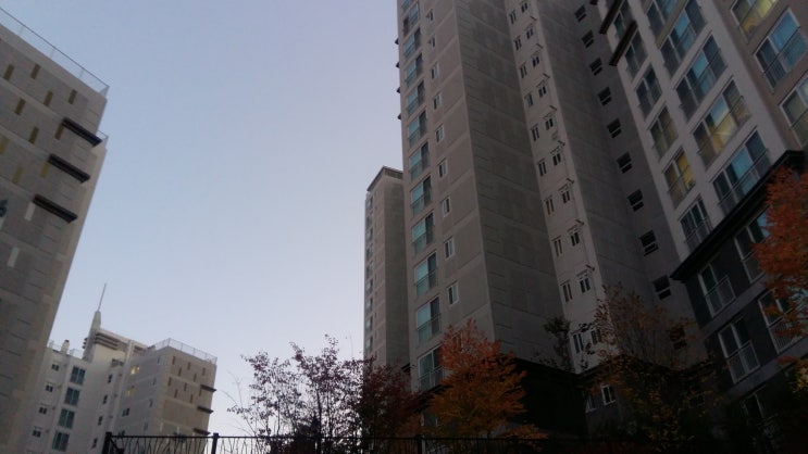 [일상] 비 오는 오늘과 내일, 《<b>나의 아저씨</b>》 이후 오랜만에... 