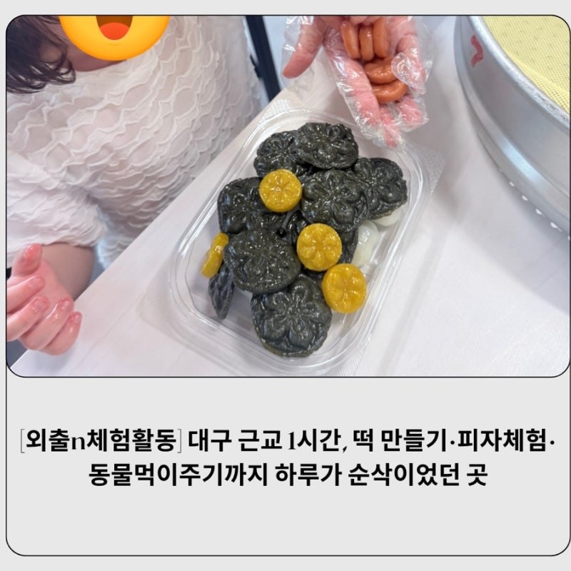 [외출n체험활동] 대구 근교 1시간, 떡 만들기·피자체험·동물먹이주기까지 하루가 순삭이었....