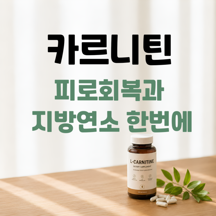  카르니틴 효능 부작용 섭취방법 총정리 ㅣ 다이어트와 운동에 도움 될까?