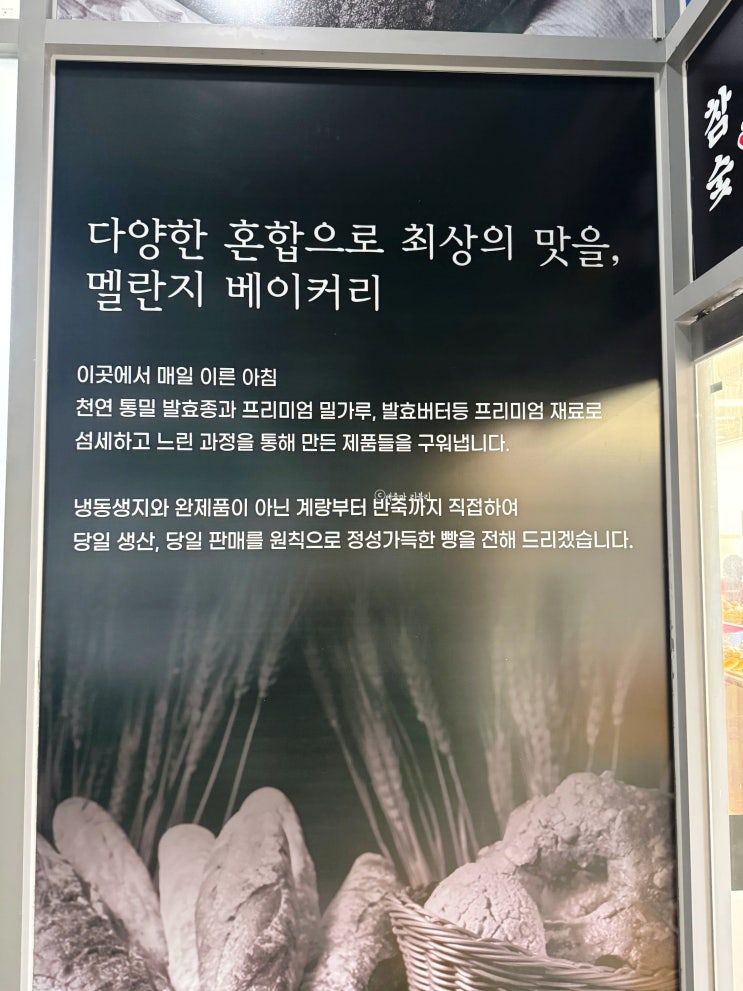  인천빵집맛집 검단 멜란지베이커리 아라역케이크 빵순이 심쿵 후기