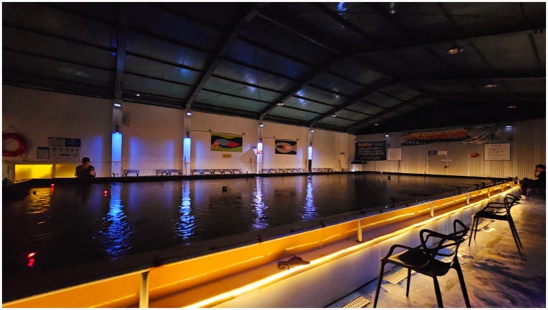 강서구낚시터 찾는다면 여기!아이와 함께 가기 좋은김포 실내낚시터 드림바다