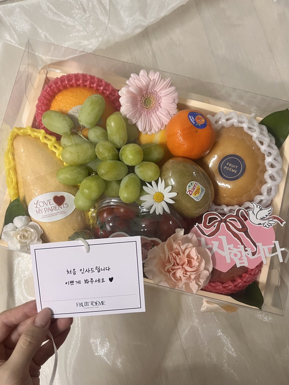 부산오징어 사진 4