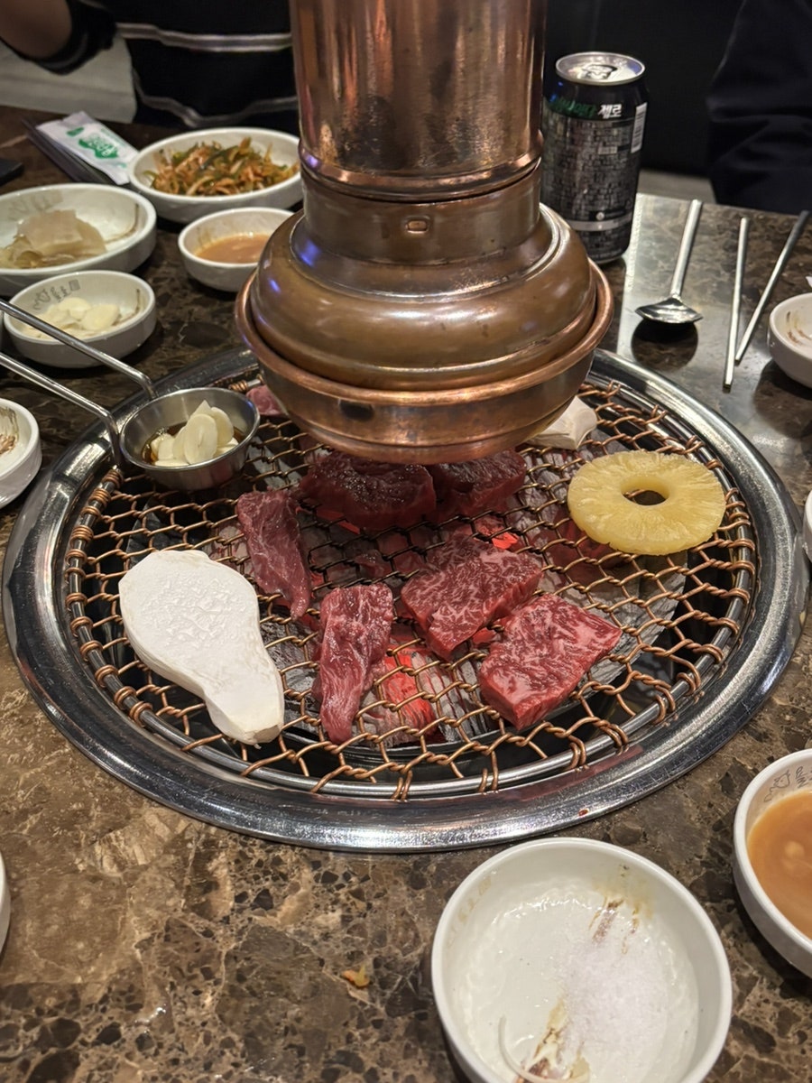 욜로 사진 4