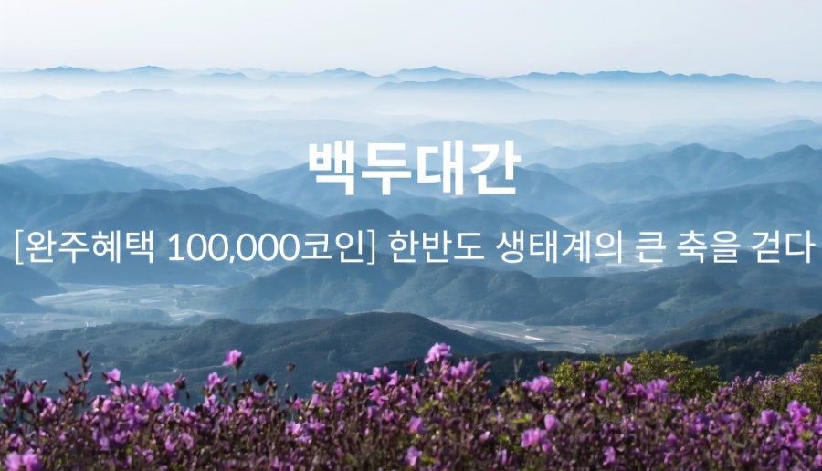 매봉산 사진 3