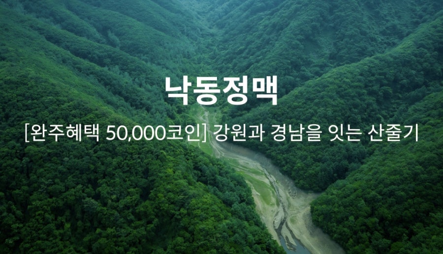 매봉산 사진 5