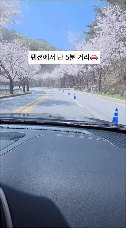 오즈의마법사 사진 2