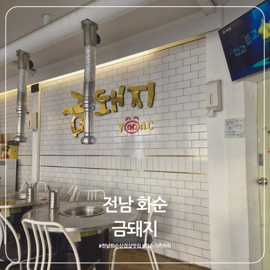 금돼지 사진 1