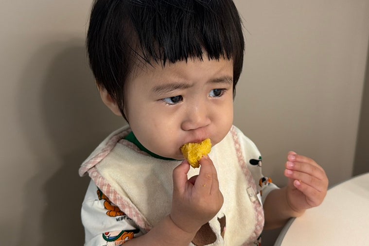 아승지 사진 1