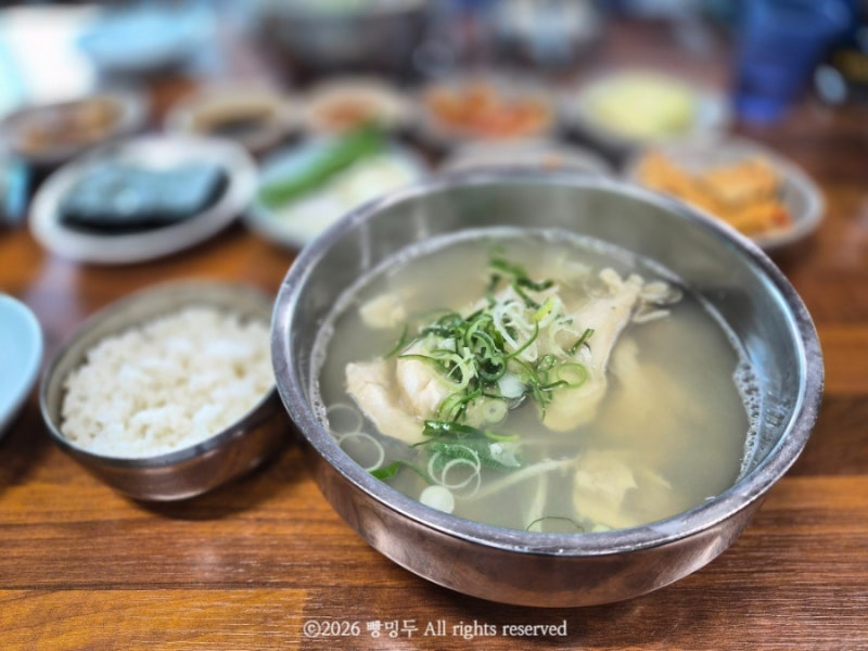 부산 달맞이길 맛집 속시원한대구탕 본점