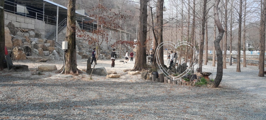 들꽃샤브칼국수 사진 5