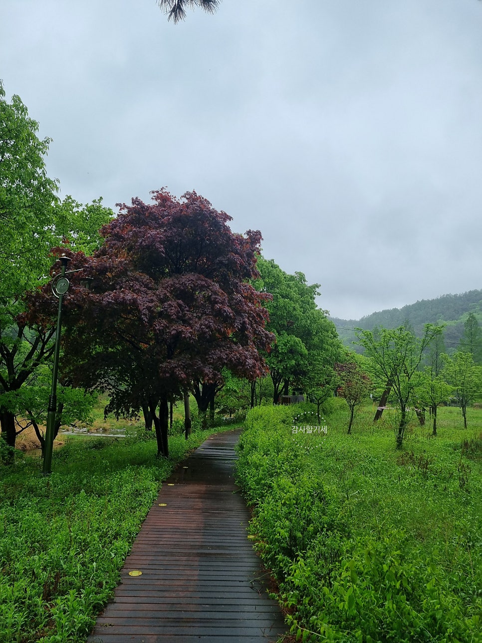 뒷골 사진 6