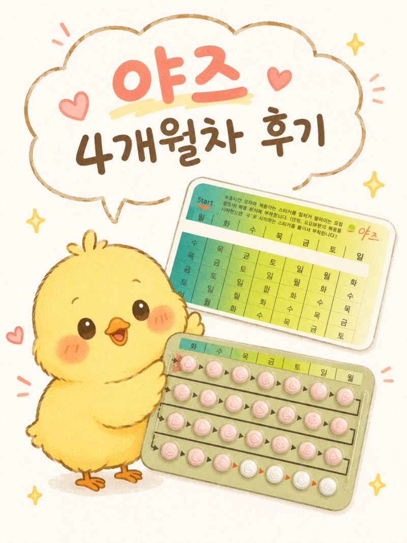 심부내막증(4) 야즈 4개월 후기 : 사라진 부작용과 몸 변화