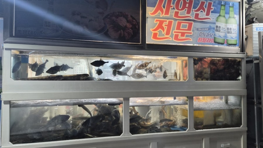성광횟집 사진 3