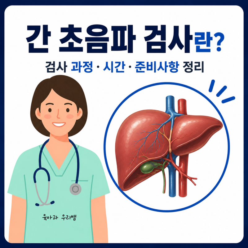 간 초음파 검사 금식 물 마셔도 될까? 검사 전 준비사항 정리