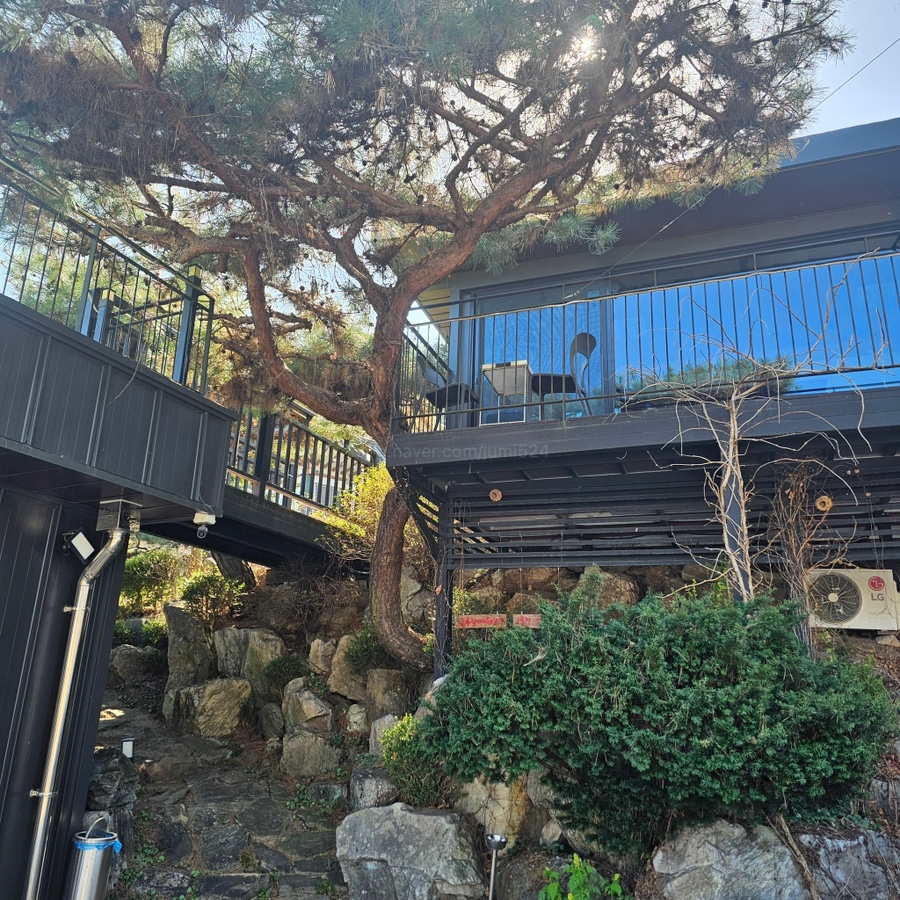 그루잠 사진 3