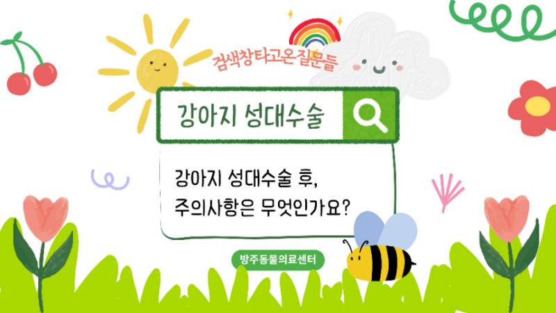 강아지 성대수술 후 주의사항은 무엇인가요? │ 강동구 성내동 둔촌동 방주동물의료센터 질....