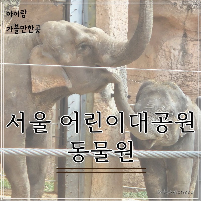 서울 어린이대공원 동물원 입장료 주차장 정보 아이와 가볼만한곳