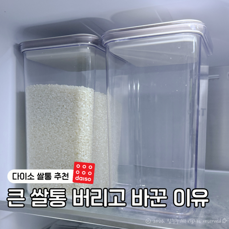 다이소 쌀통 추천, 5kg 쌀 소분이 편해진 네오플램 쌀보관통 후기