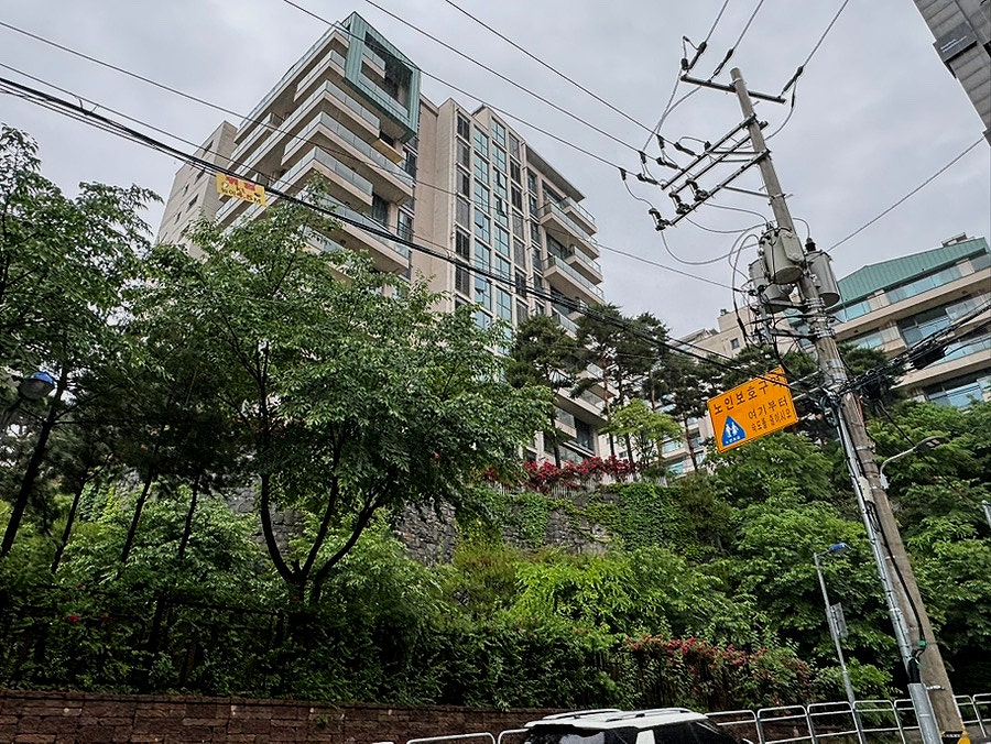 팔보 사진 3