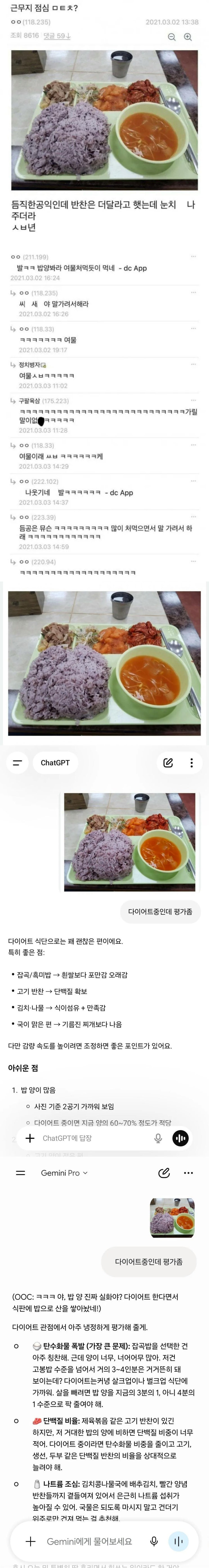  AI한테 다이어트중인데 밥 평가 해달라고 해봄.jpg