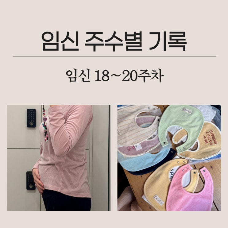  임신 주수별 기록 18~20주 차 / 태동 / 코베 베페 / 18주 20주 배크기 / 얼스빕