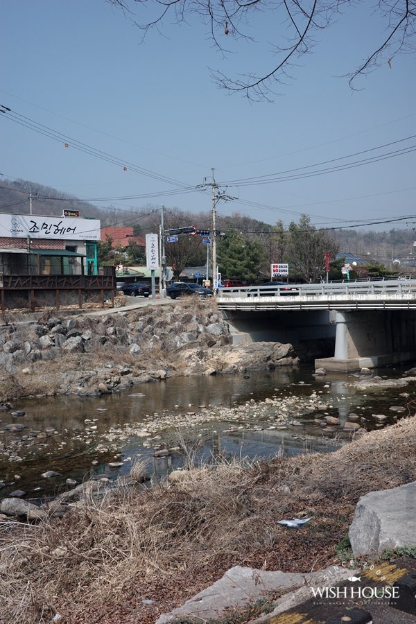 제로제 사진 4