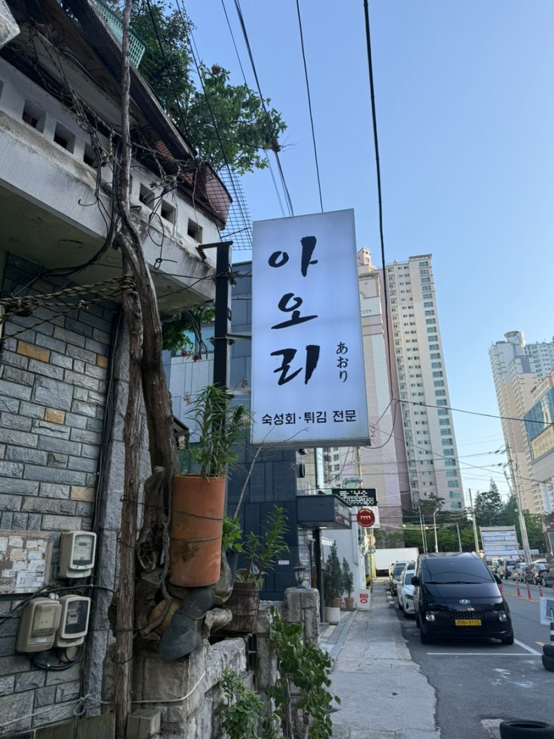 마산 양덕동 아오리