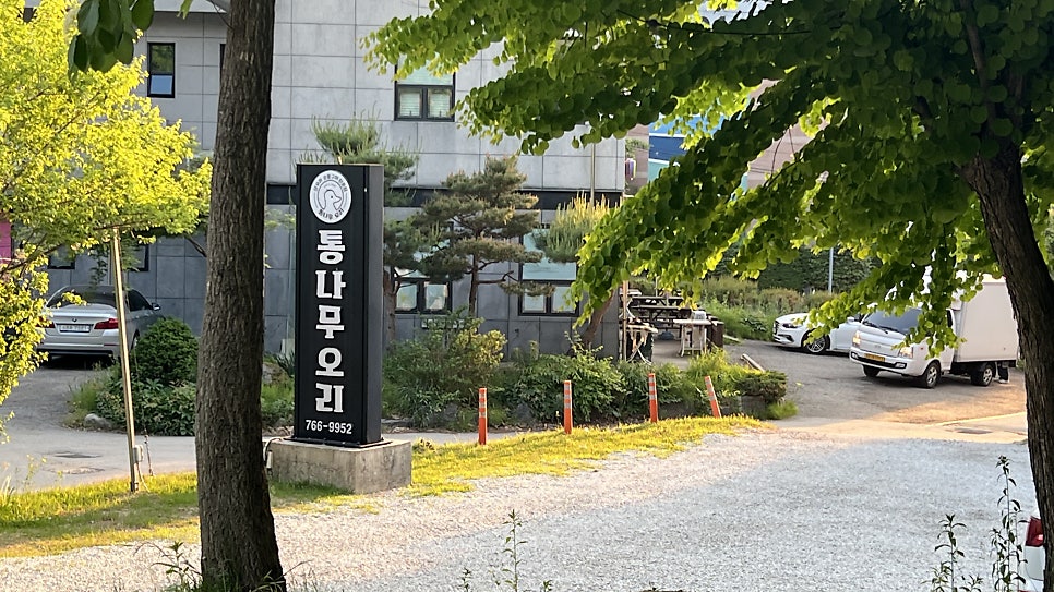 통나무오리 사진 2
