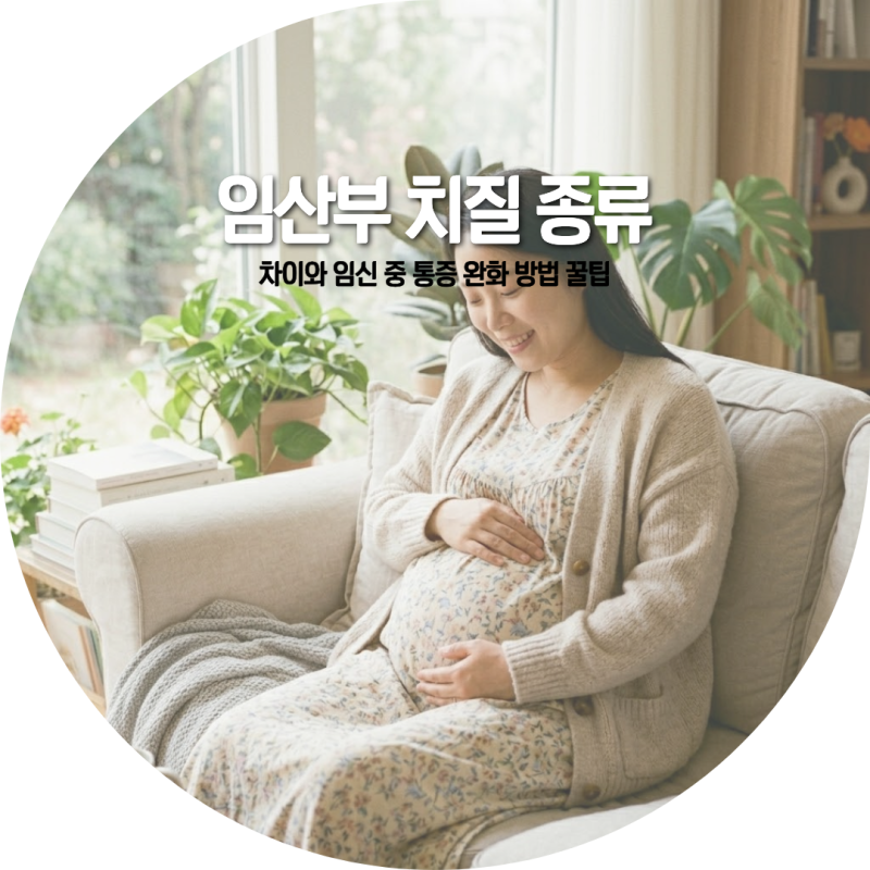 임산부 치질 종류(치핵 치루 치열) 차이와 임신 중 통증 완화 방법 꿀팁