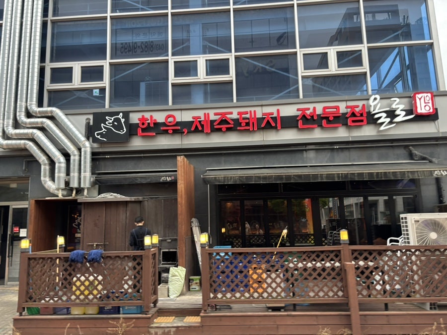 욜로 사진 1