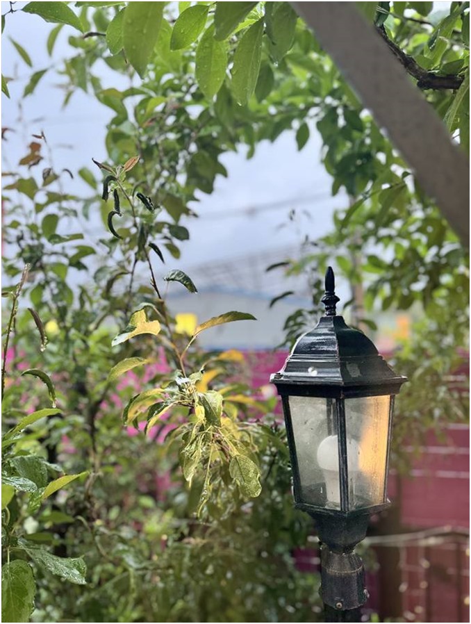 라센느 사진 2