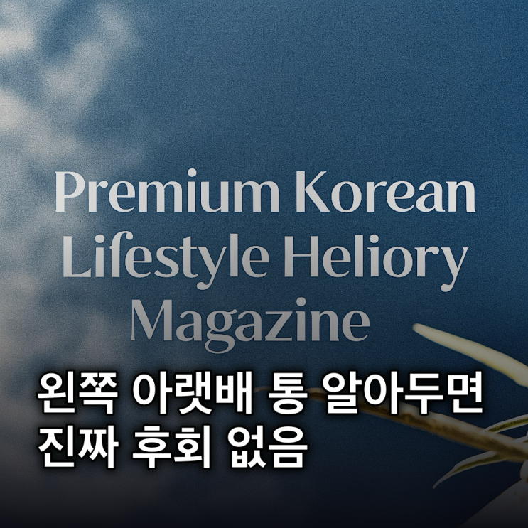  왼쪽 아랫배 통증 원인 총정리: 여성/남성/임산부별 증상