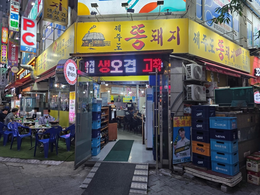 제주도똥돼지 사진 2
