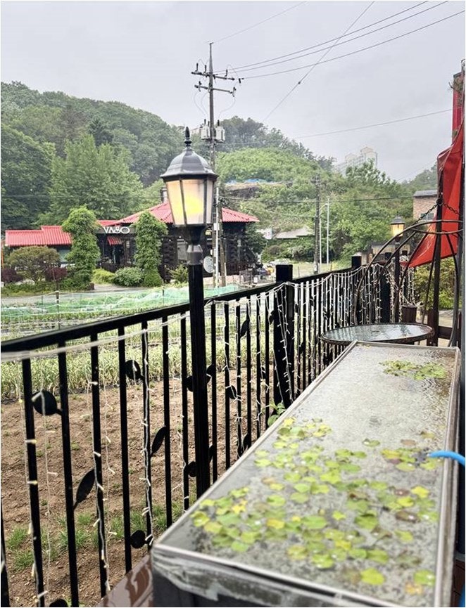 라센느 사진 3