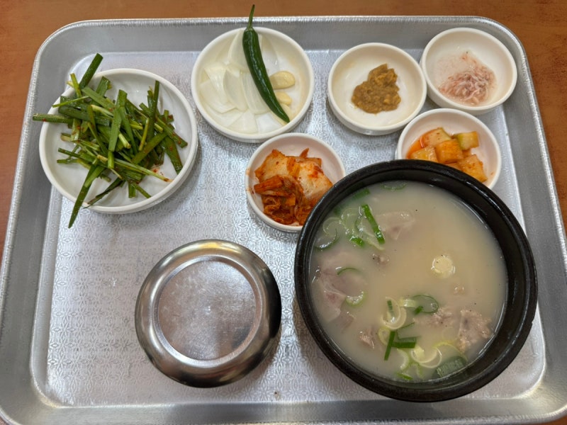부산 사상 안동돼지국밥 전현무계획 곽튜브 맛집 돼지국밥