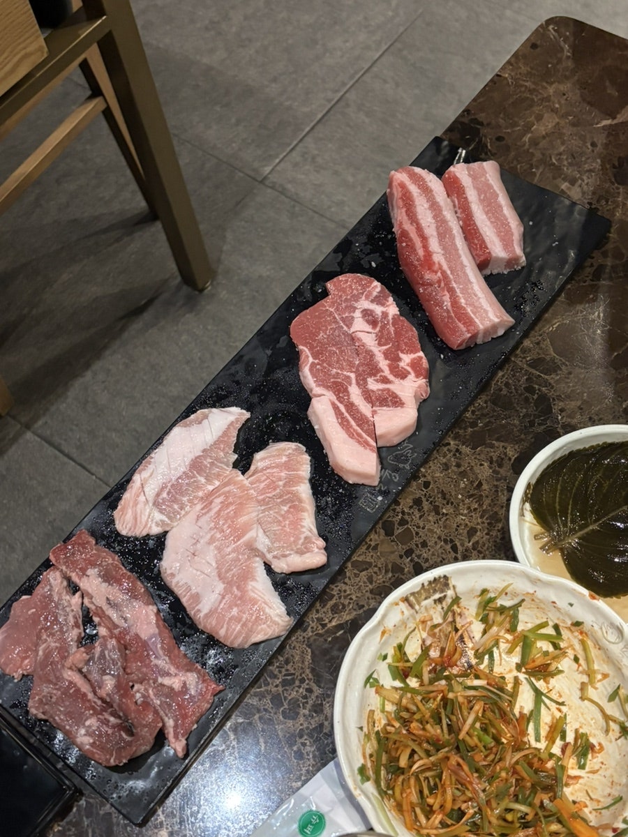 욜로 사진 5