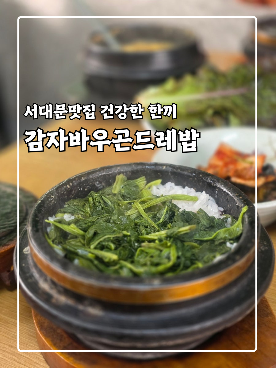 감자바우곤드레밥 사진 2