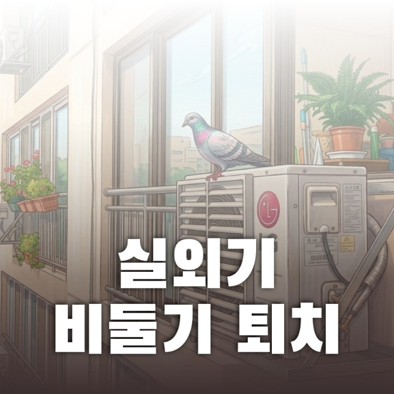 에어컨 실외기 비둘기 셀프 퇴치 후기