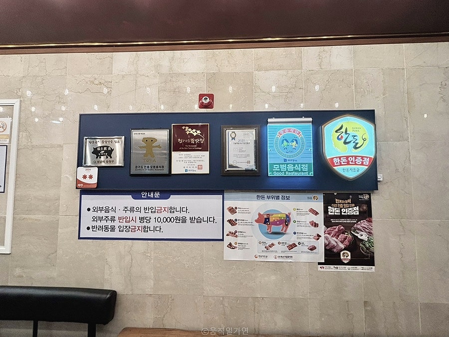 유명갈매기 사진 4