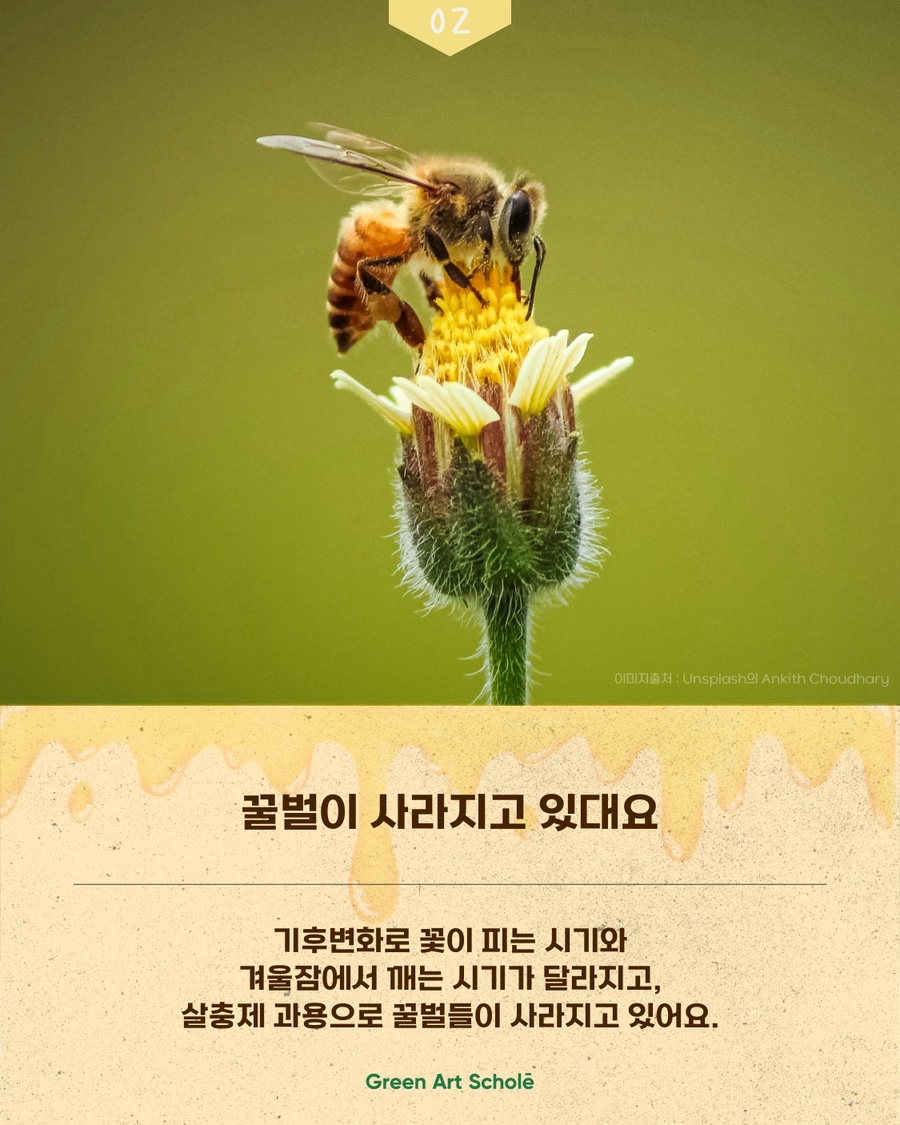자연이야기 사진 4
