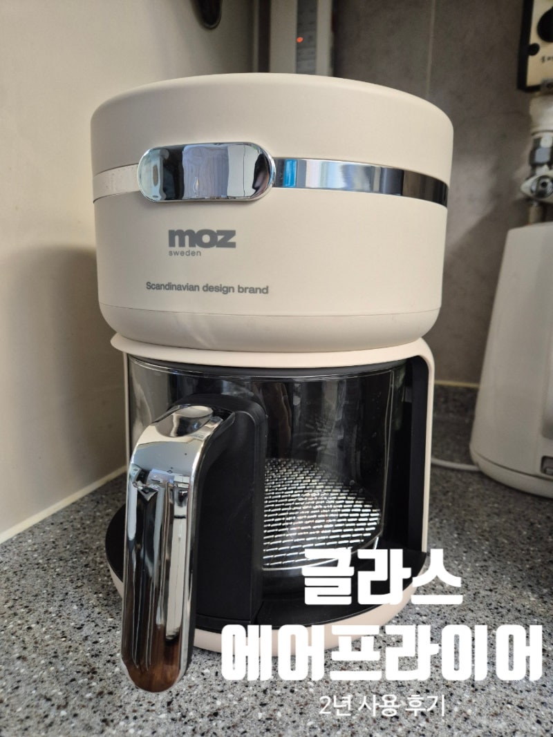 글라스 에어프라이어 추천 모즈 스웨덴 2년 실사용 후기