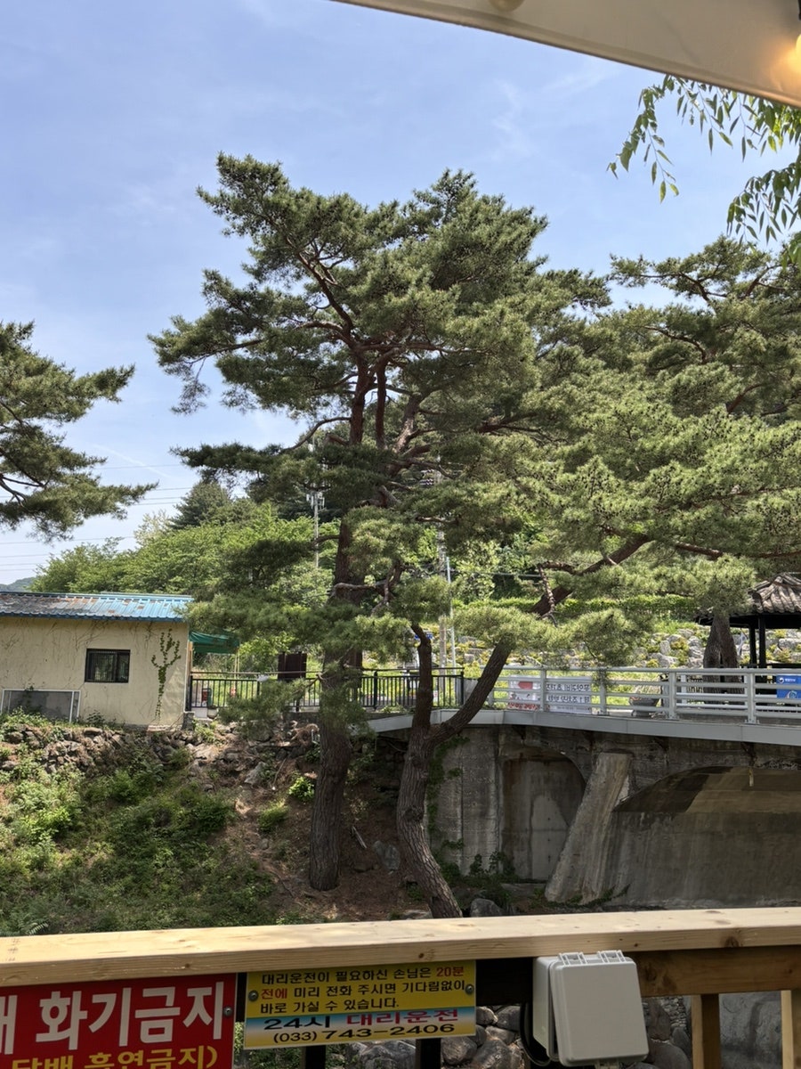 뚜구리네 사진 3