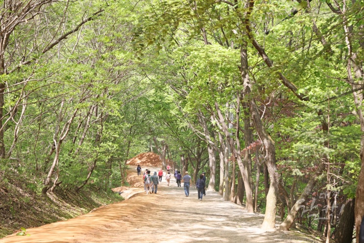  대전 계족산성 산책, 황톳길 끝에서 만나는 조용한 성곽 전망