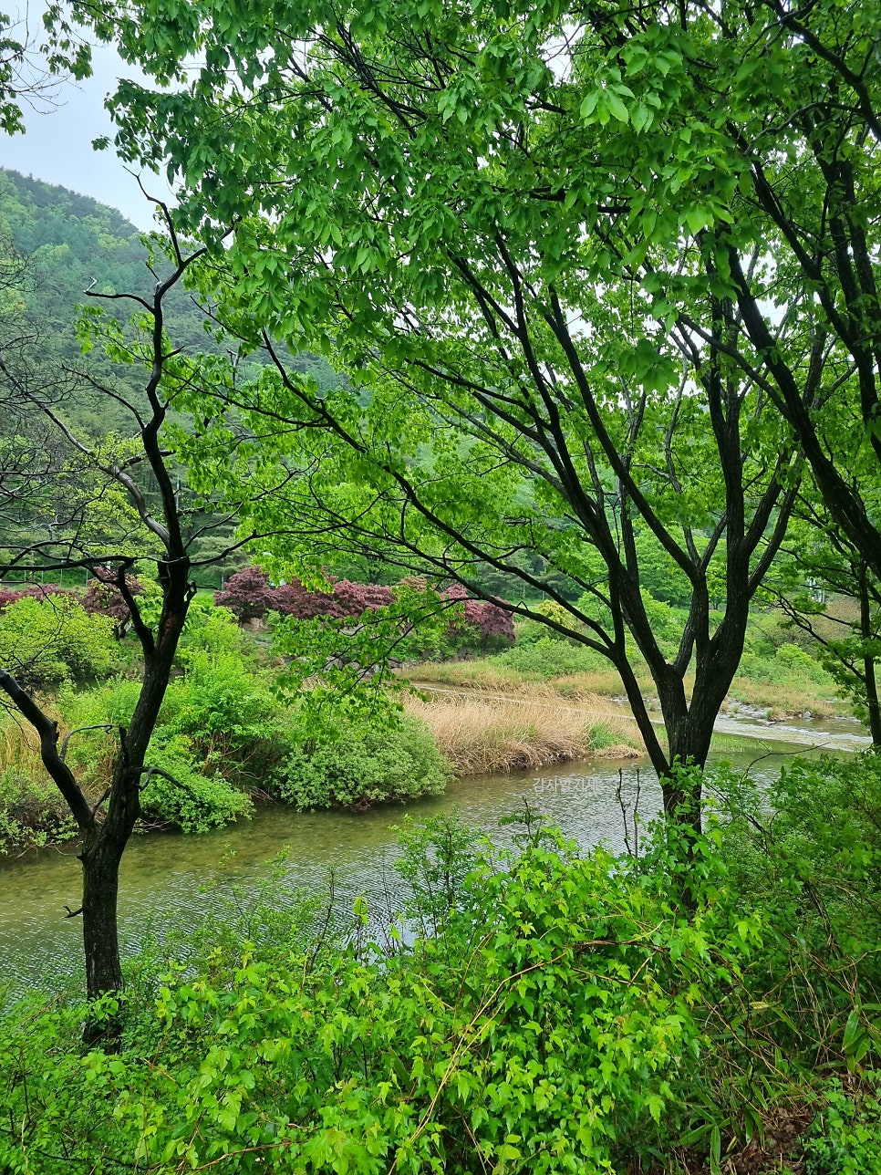 뒷골 사진 5
