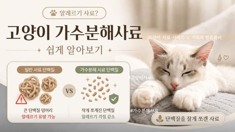 고양이 가수분해 사료 뜻, 알러지 사료와 다른점은?